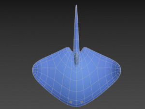 manta ray Modelo 3D