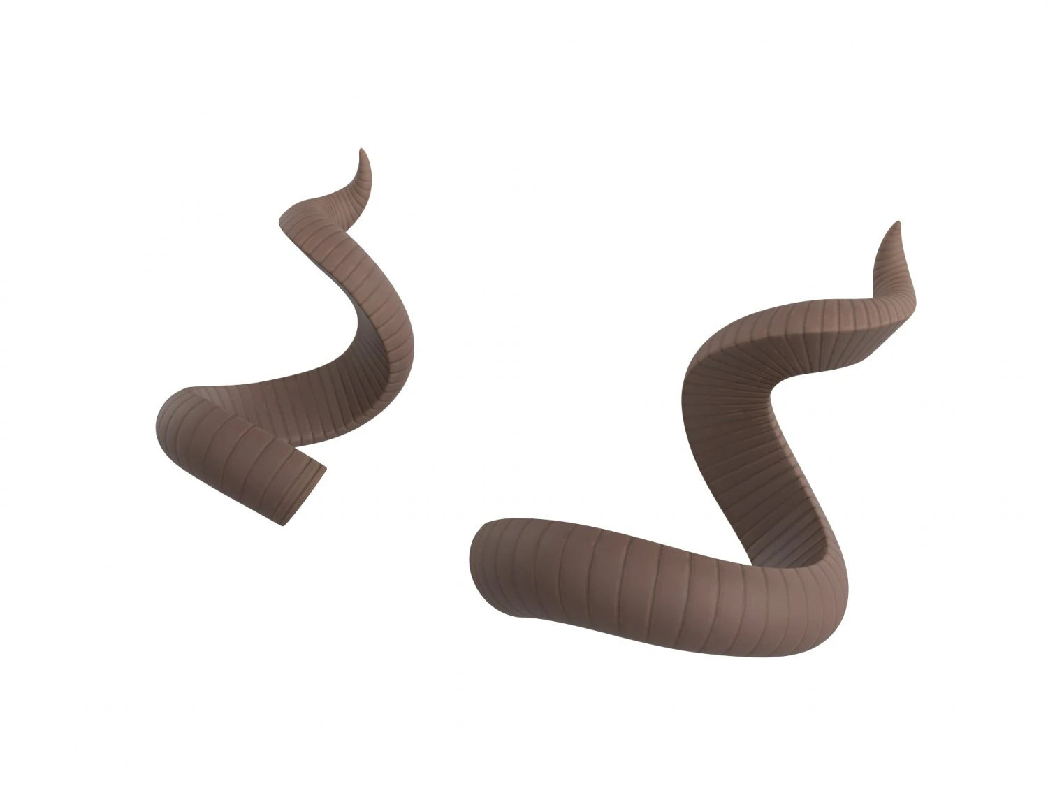 kudu horn 3D Model .c4d .max .obj .3ds .fbx .stl .blend 