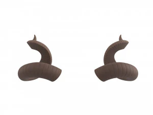kudu horn 3D Model