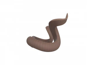 kudu horn 3D Model