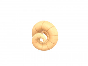 ram horn Modello 3D