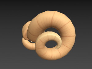 ram horn Modello 3D