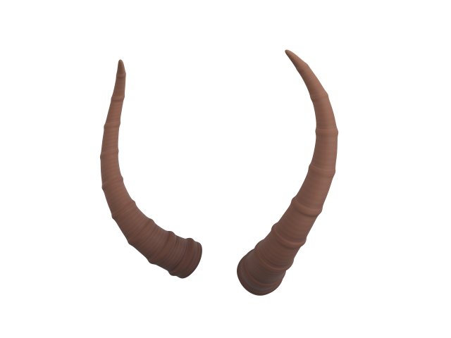 antelope horn Model 3D .c4d .max .obj .3ds .fbx .stl .blend 