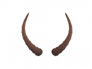 antelope horn Model 3D
