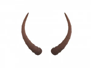 corne d'antilope Modèle 3D