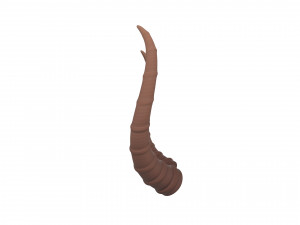 antelope horn Model 3D