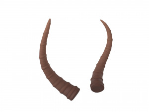 antelope horn Model 3D