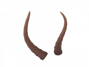 corne d'antilope Modèle 3D