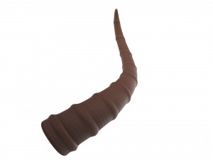 antelope horn Model 3D