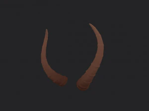 corne d'antilope Modèle 3D