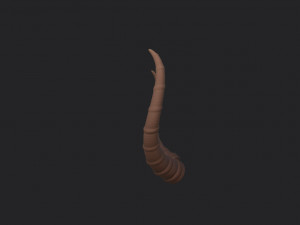 antelope horn Model 3D