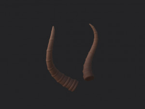antelope horn Model 3D