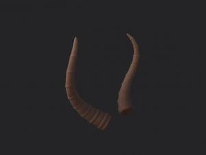 corne d'antilope Modèle 3D