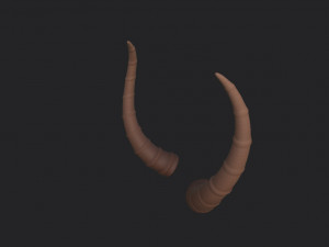 antelope horn Model 3D