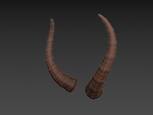 antelope horn Model 3D