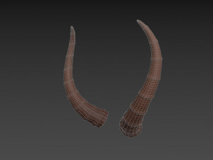 antelope horn Model 3D