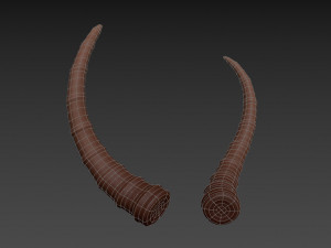 antelope horn Model 3D
