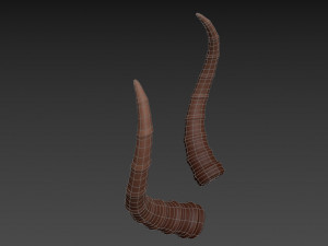 antelope horn Model 3D