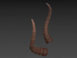 corne d'antilope Modèle 3D