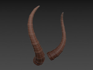 antelope horn Model 3D