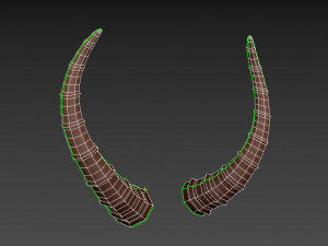 antelope horn Model 3D