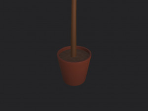 tree in pot Modèle 3D