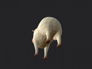 cartoon sheep 3D 모델