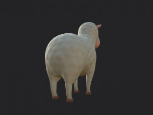 cartoon sheep 3D 모델