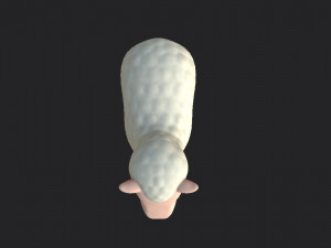 cartoon sheep 3D 모델