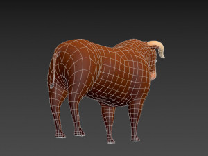 cartoon bull 3D Model