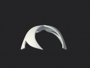 fancy mask Modello 3D