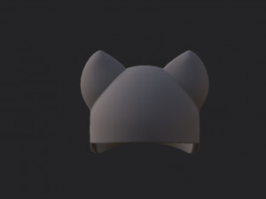 cat cap Modèle 3D