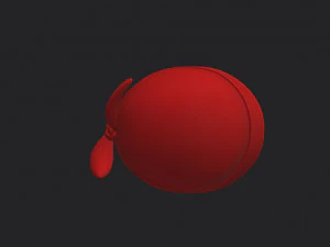 Bandana-M&uuml;tze 3D Modell