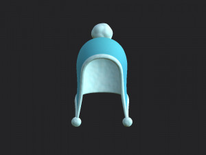 winter hat 3D 모델