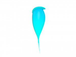 mermaid tail Modelo 3D