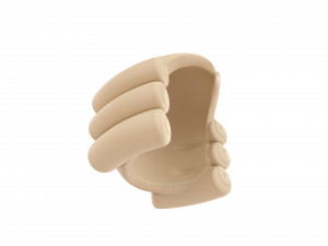 judge wig 3Dモデル