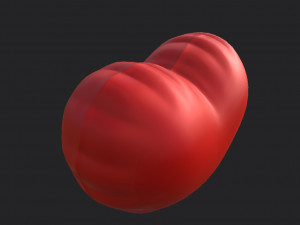 heart balloon 3Dモデル