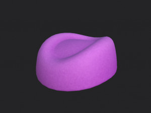pillbox hat 3Dモデル