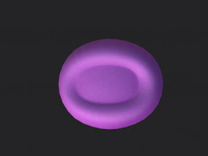 pillbox hat 3D Model