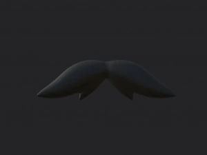 mustache 05 3D Model