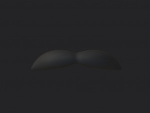 mustache 05 Model 3D