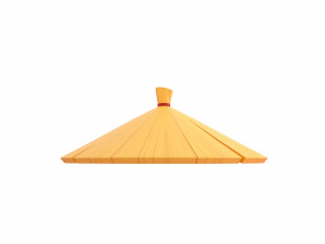 chinese conical hat 3D Model