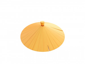 chinese conical hat 3D Model