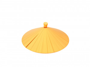 chinese conical hat 3D Model