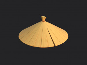 chinese conical hat 3D Model