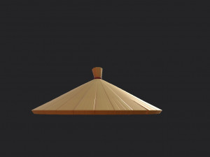chinese conical hat 3D Model