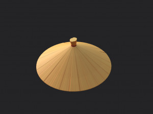chinese conical hat 3D Model