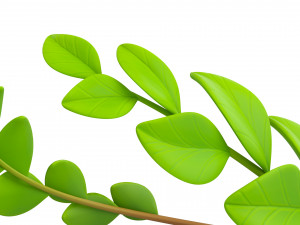 laurel wreath 3D 모델