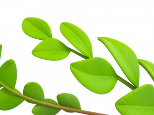 coroa de louros Modelo 3D