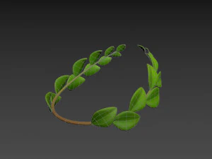 coroa de louros Modelo 3D